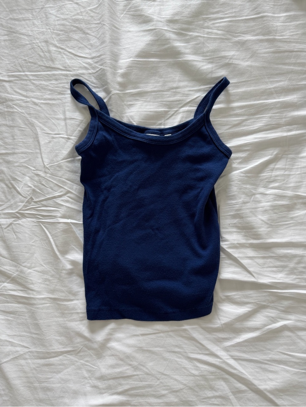 Aritzia HomeStretch Rib Spectrum Cami Tank Byron Blue
